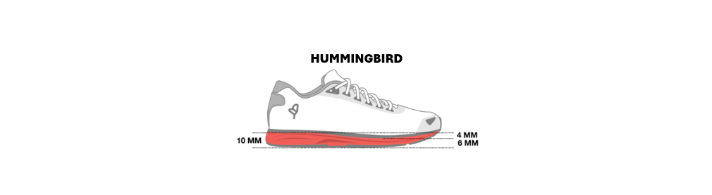 Discover our HUMMINGBIRD model